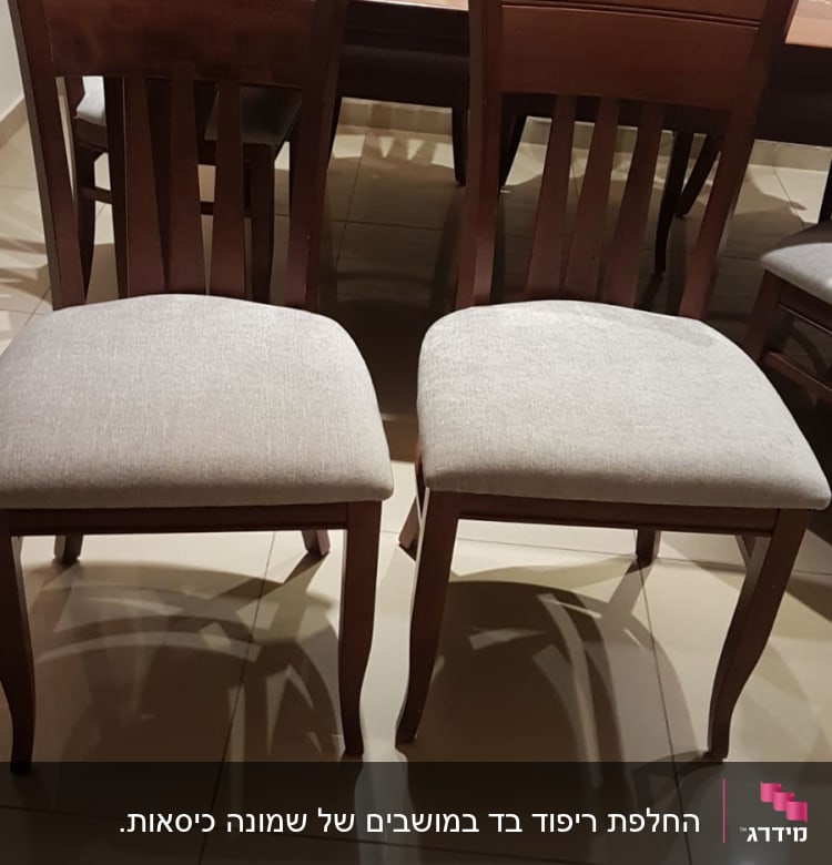 שני כיסאות עם ריפוד בד בהיר